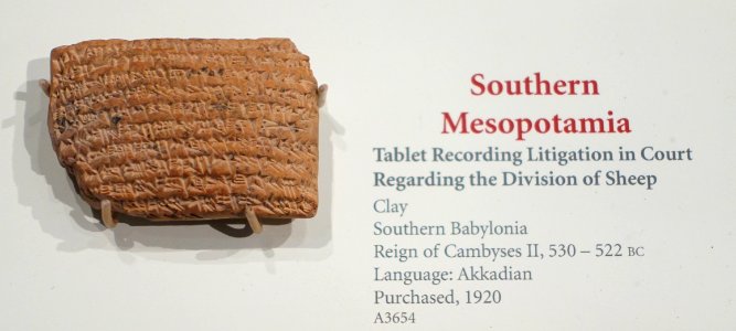 Tablet in Akkadian recording litigation in court regarding the division of sheep, Southern Babylonia, reign of Cambyses II, 530-522 BC, clay - Oriental Institute Museum, University of Chicago - DSC07094
