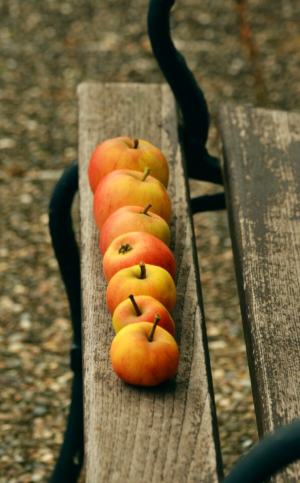 Windfall garden series