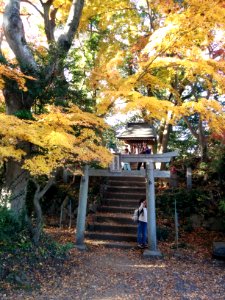 Temple on Mount Takao photo