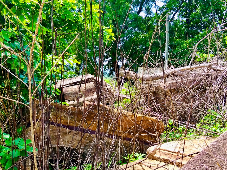 Temple ruins in Manthani, Telangana - 15