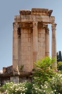 Temple of Vesta Forum Romanum Rome