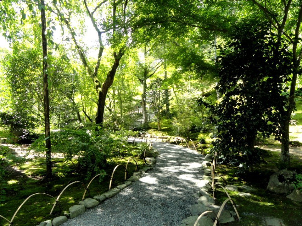 Tenryuji Garden- DSC05984