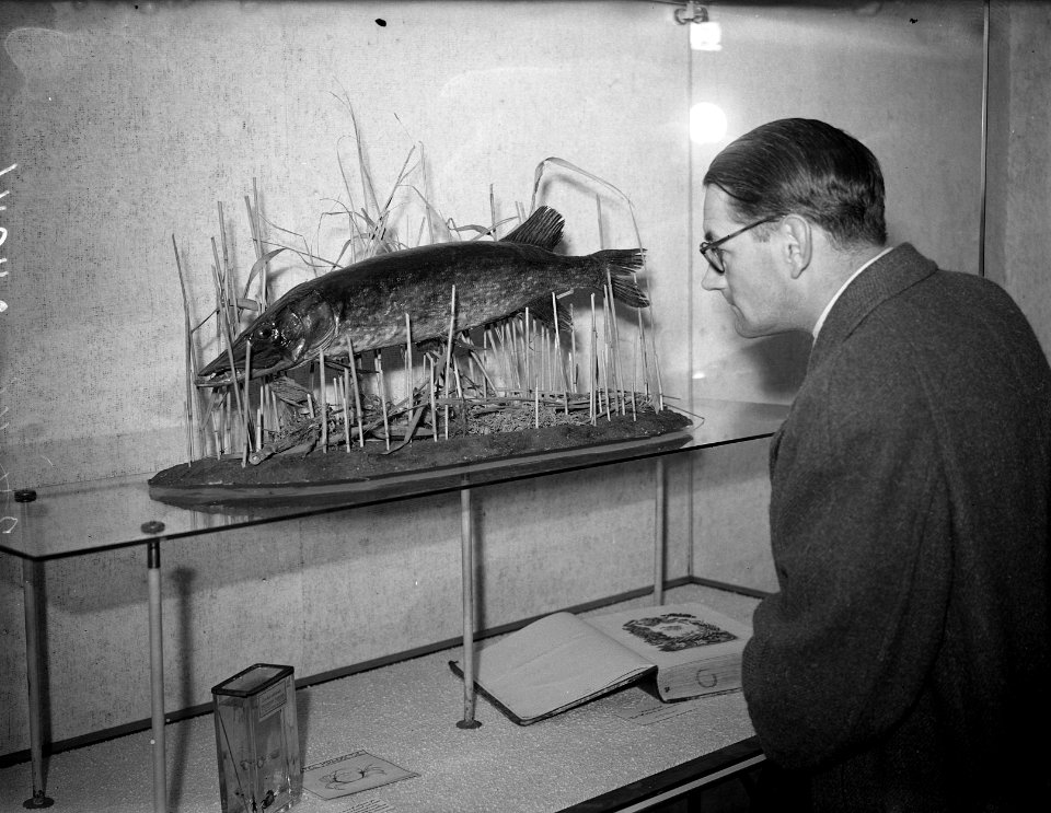 Tentoonstelling Amstelstroom ( Stedelijk Museum ), Bestanddeelnr 902-4046