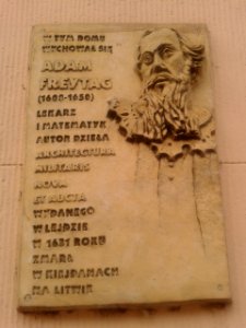 Tablica Adama Freytaga w Toruniu