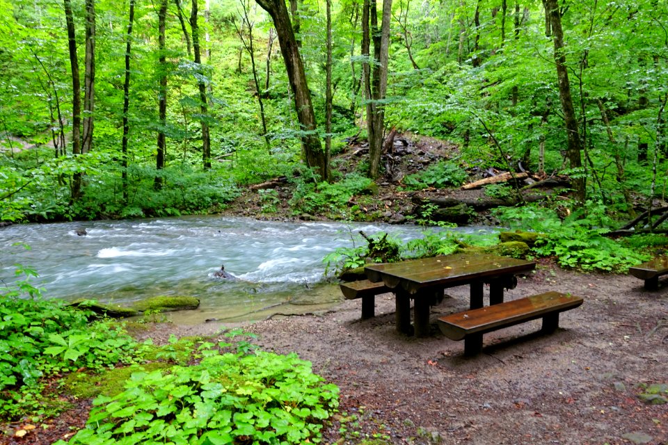 Table - Oirase Mountain Stream - Towada, Aomori - DSC01192