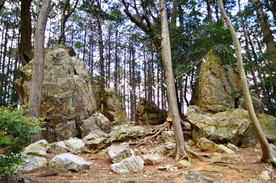 Tenpaku Iwakura Site, zentai-1