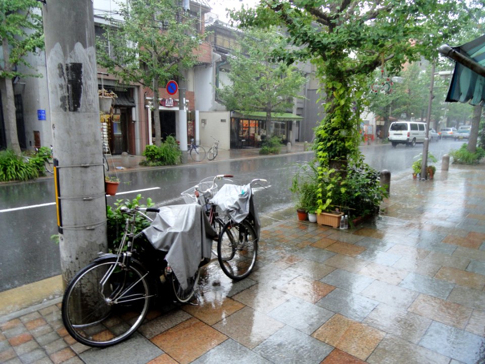 Teramachi-dori, Kyoto - DSC05869