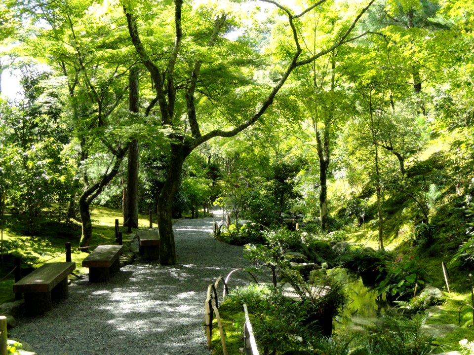 Tenryuji Garden- DSC05992