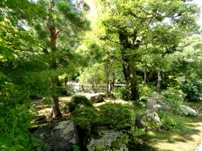 Tenryuji Garden- DSC05958 photo