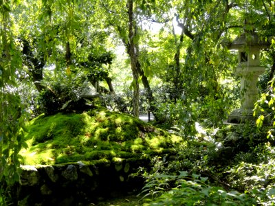 Tenryuji Garden- DSC05986 photo