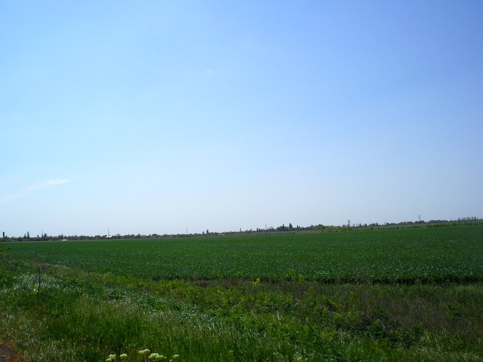 Tabachnoe (Dzhankoy) 1