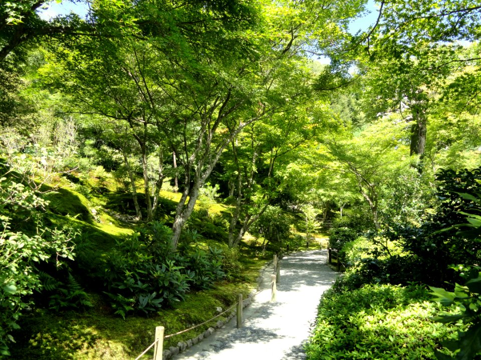 Tenryuji Garden- DSC06032