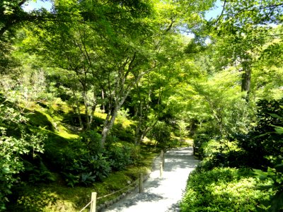 Tenryuji Garden- DSC06032 photo