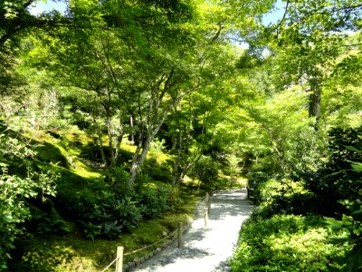 Tenryuji Garden- DSC06032