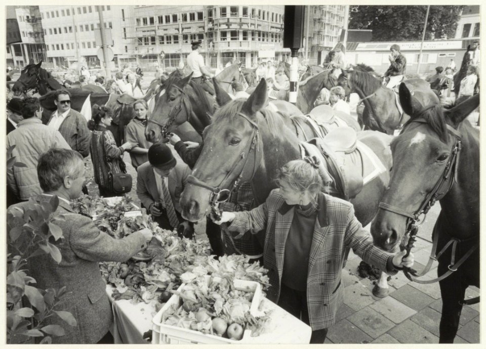 Ter gelegenheid van dierendag krijgen de paarden van manege De Bokkedoorns een lunch aangeboden bij café-restaurant 'De Bickerij' Houtplein 32. NL-HlmNHA 54023571