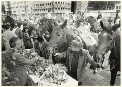 Ter gelegenheid van dierendag krijgen de paarden van manege De Bokkedoorns een lunch aangeboden bij café-restaurant 'De Bickerij' Houtplein 32. NL-HlmNHA 54023571