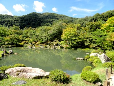 Tenryuji Garden- DSC05971 photo