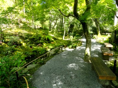 Tenryuji Garden- DSC06023