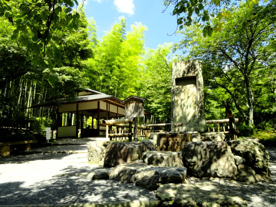 Tenryuji Garden- DSC06003