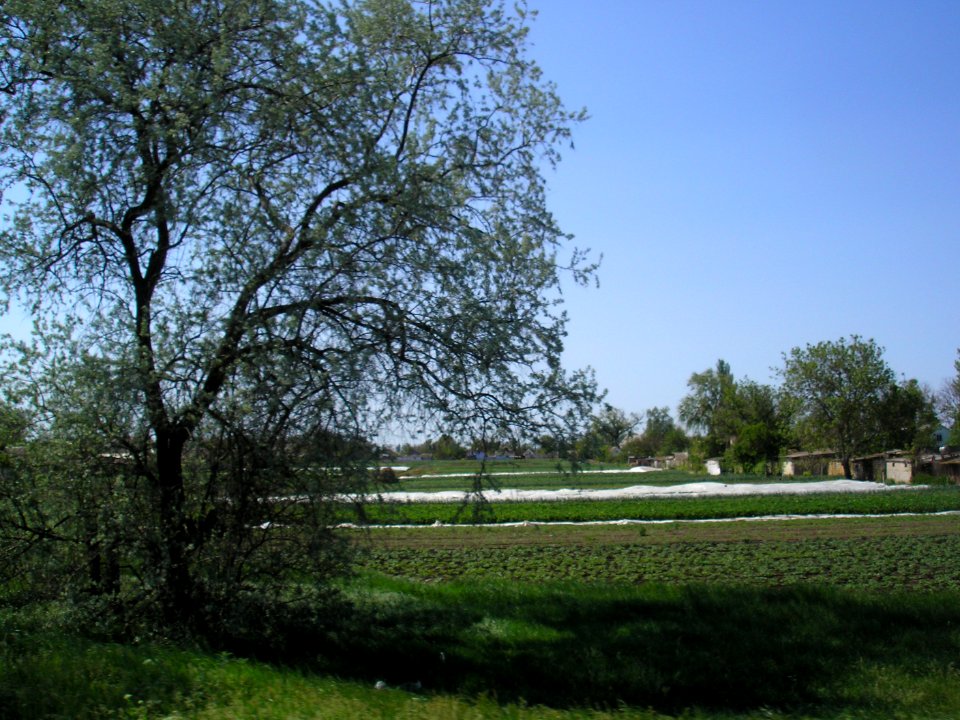 Tabachnoe (Dzhankoy) 8