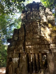 Ta Prohm, 2017-12-31 (006)