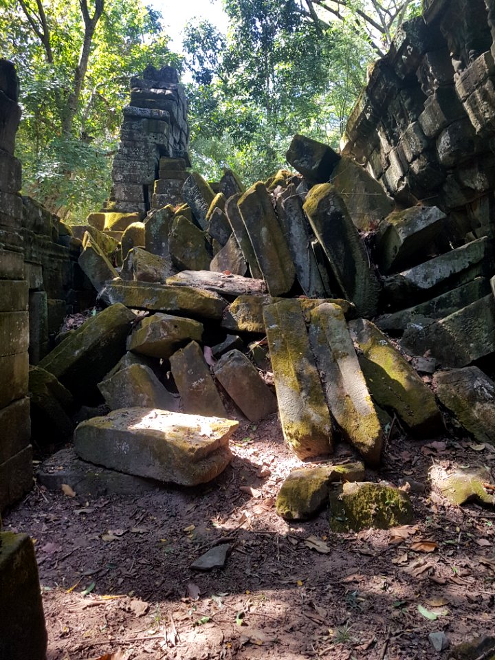 Ta Prohm, 2017-12-31 (009)