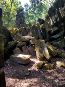 Ta Prohm, 2017-12-31 (009)