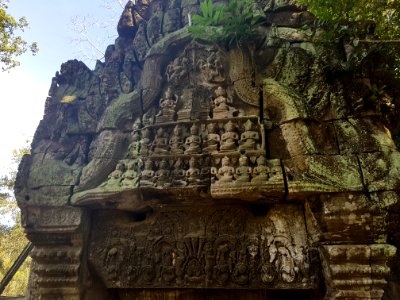 Ta Prohm, 2017-12-31 (015)