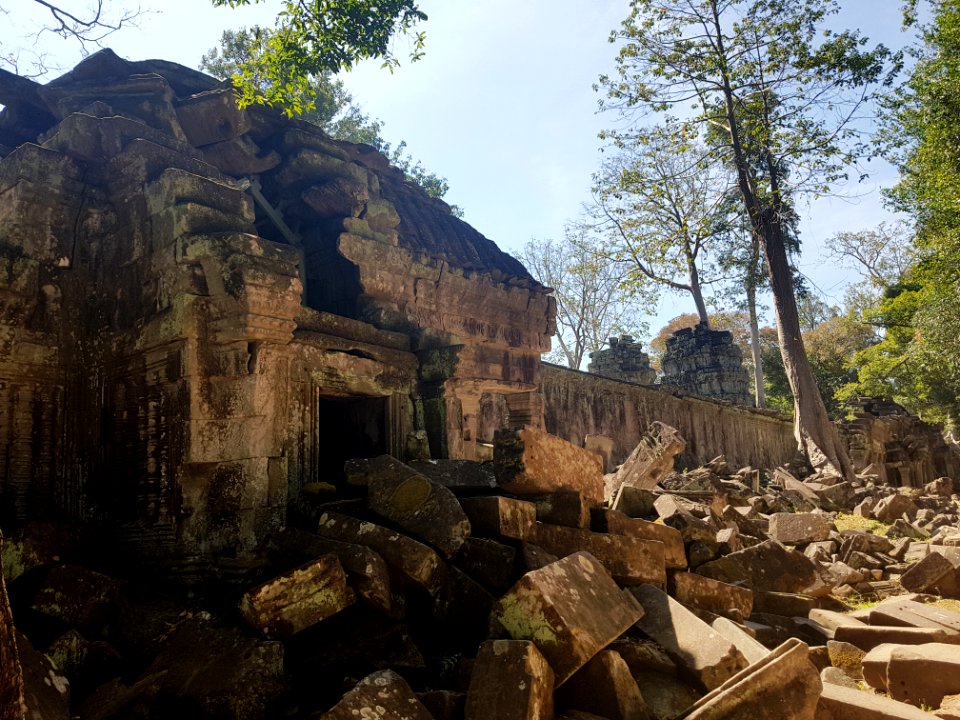 Ta Prohm, 2017-12-31 (038)