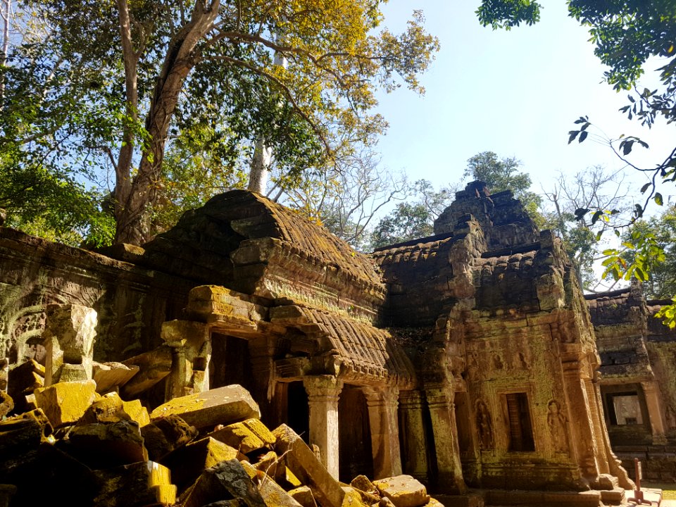 Ta Prohm, 2017-12-31 (049)