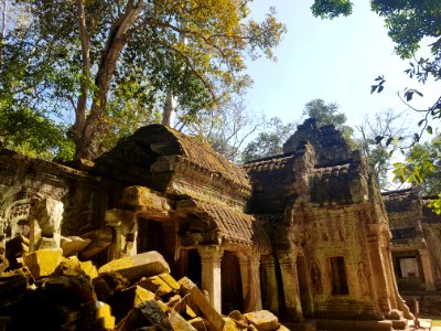 Ta Prohm, 2017-12-31 (049)