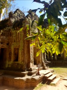 Ta Prohm, 2017-12-31 (053)
