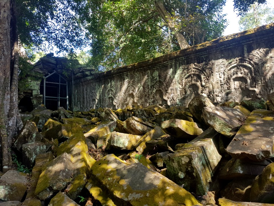 Ta Prohm, 2017-12-31 (041)