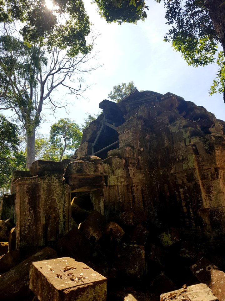 Ta Prohm, 2017-12-31 (035)