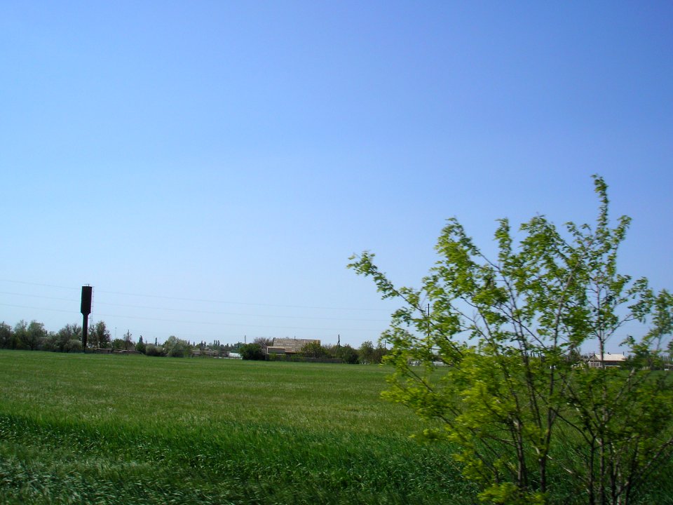 Tabachnoe (Dzhankoy) 2