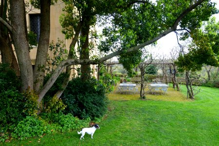 Tables on the lawn - Torrecchia Vecchia - Cisterna di Latina, Italy - DSC03232