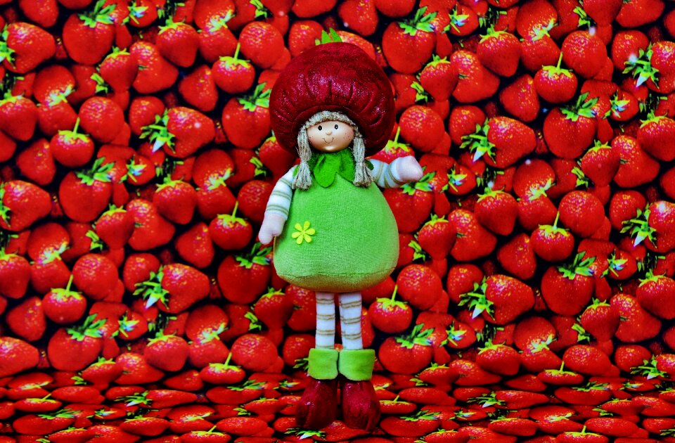 Doll fruit figure