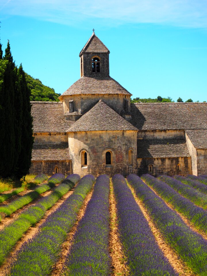 Notre dame de sénanque the order of cistercians gordes