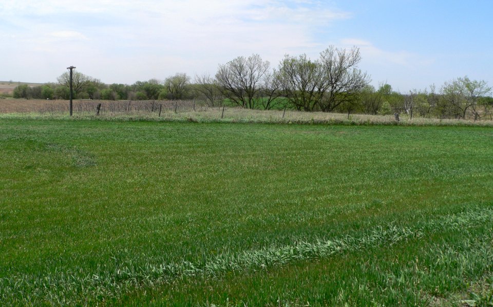 Sweetwater archaeological site (Nebraska) (7)
