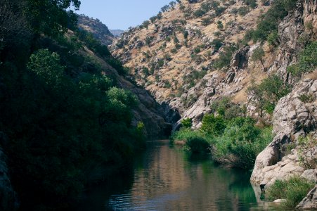Swimming upstream from the Nahla Valley, a mixed Assyrian and Kurdish area in the Kurdistan Region of Iraq 27