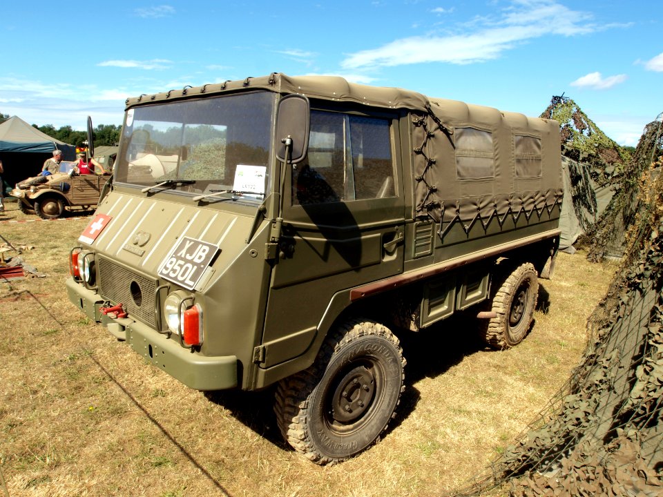 Swiss Pinzgauer pic3