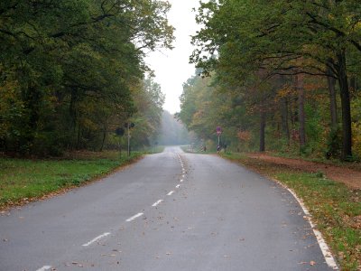 Teufelsseechaussee 2019-10-24 02