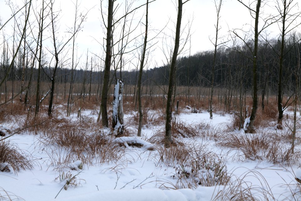 Teufelsbruch with snow 2021-02-10 36