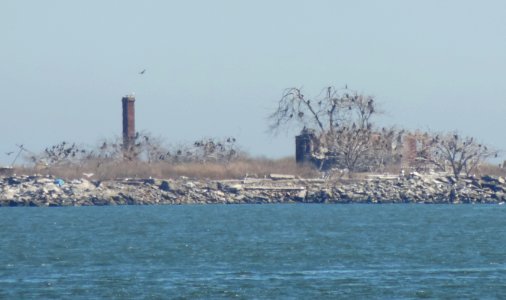 Swinburne Island fr Seaview Pier jeh