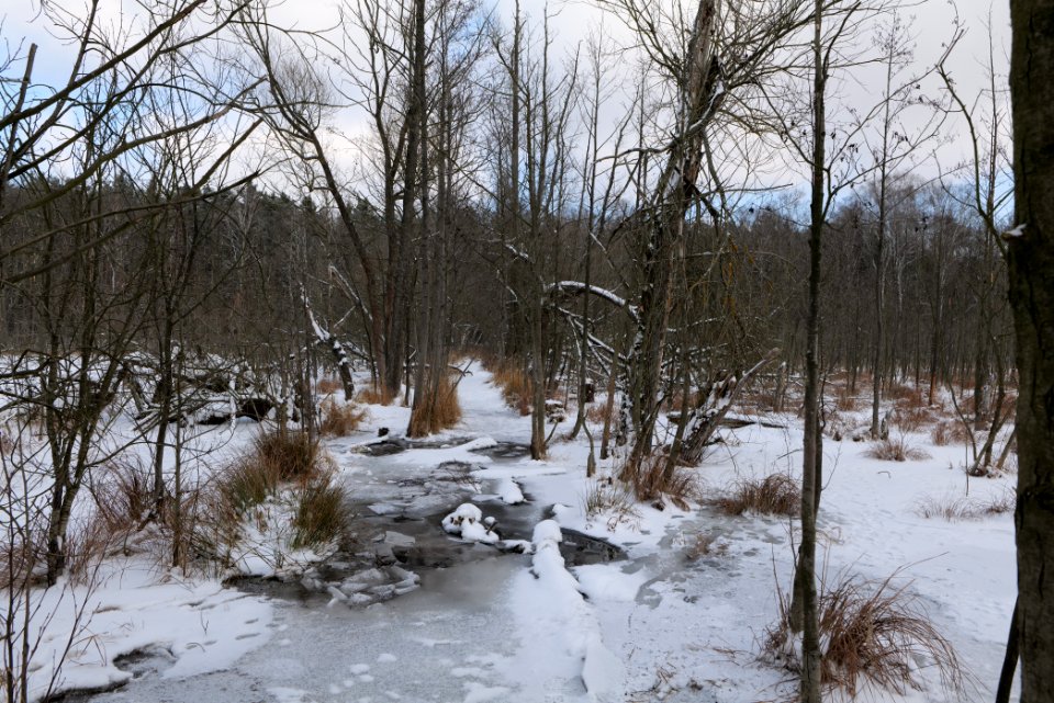 Teufelsbruch with snow 2021-02-10 43