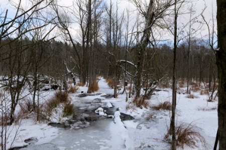 Teufelsbruch with snow 2021-02-10 43