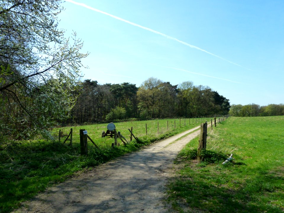 Sweikhuizen-Aan kruispunt Beukenboomsweg-Sleijerweg