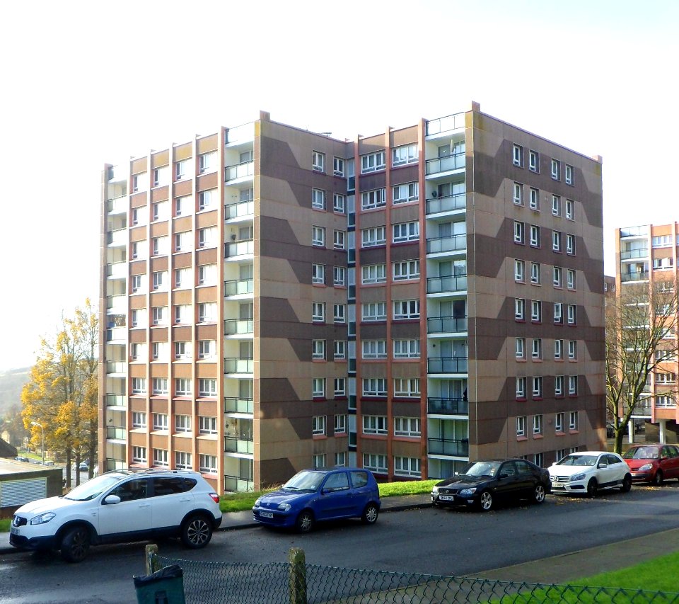 Swanborough Flats, Whitehawk (December 2013) (4)
