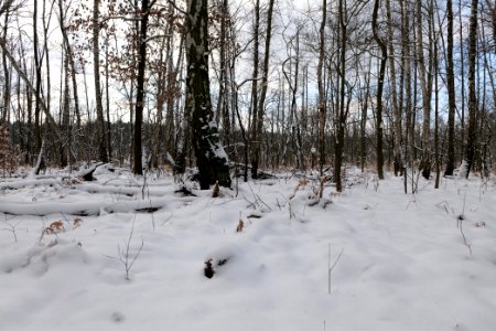 Teufelsbruch with snow 2021-02-10 57