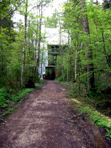 Teufelsgrabenbrücke (Grub) 07